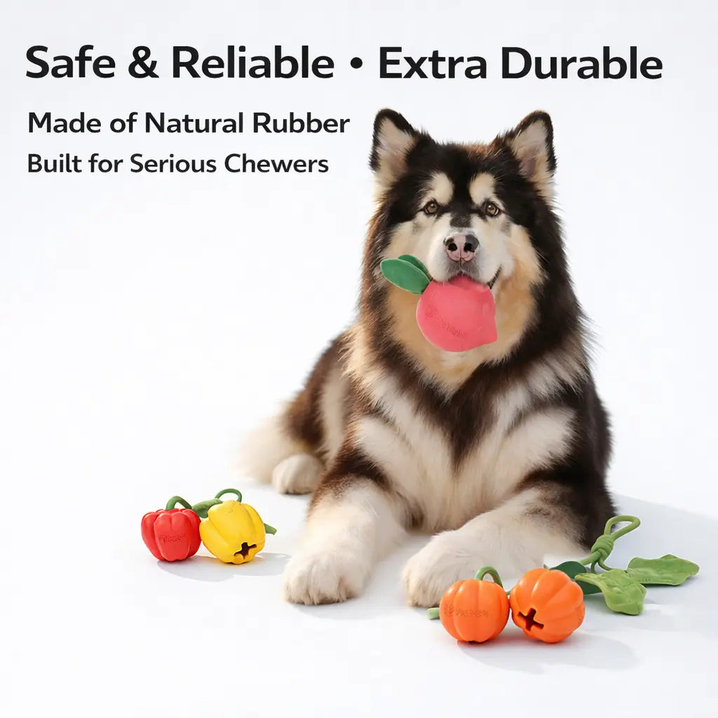 Pet Balloon Dog Chew Toy Vegetable Set - Natural Rubber Squeaky Toys with Cotton Rope for Interactive Play, Durable Treat Stuffable Toys for Small to Large Dogs
