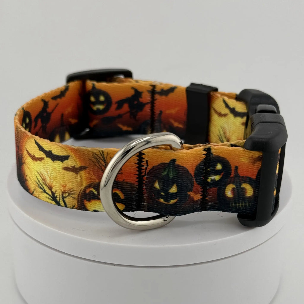 Halloween-Themed Dog Collar, Eerie Pet Accessory