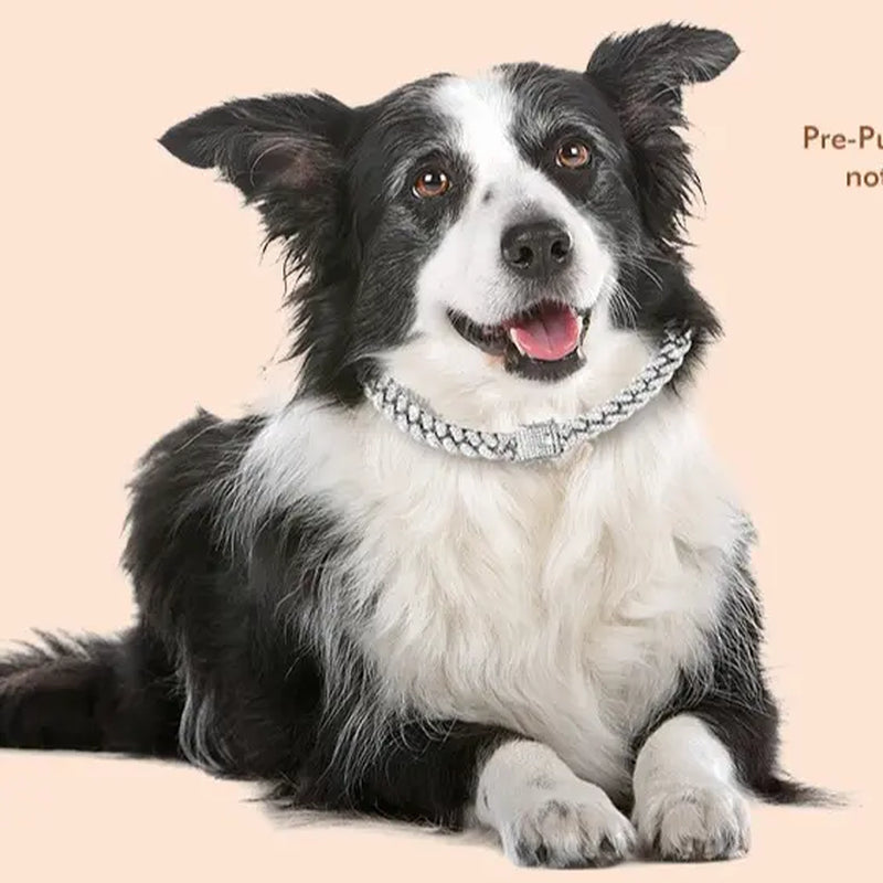 Gold Dog Chain Collars with Rhinestones - Sparkling Diamond Metal Cuban Link Collars for Small, Medium, and Large Dogs and Cats