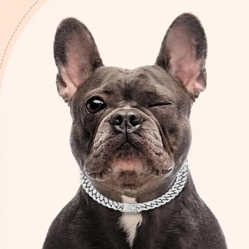 Gold Dog Chain Collars with Rhinestones - Sparkling Diamond Metal Cuban Link Collars for Small, Medium, and Large Dogs and Cats