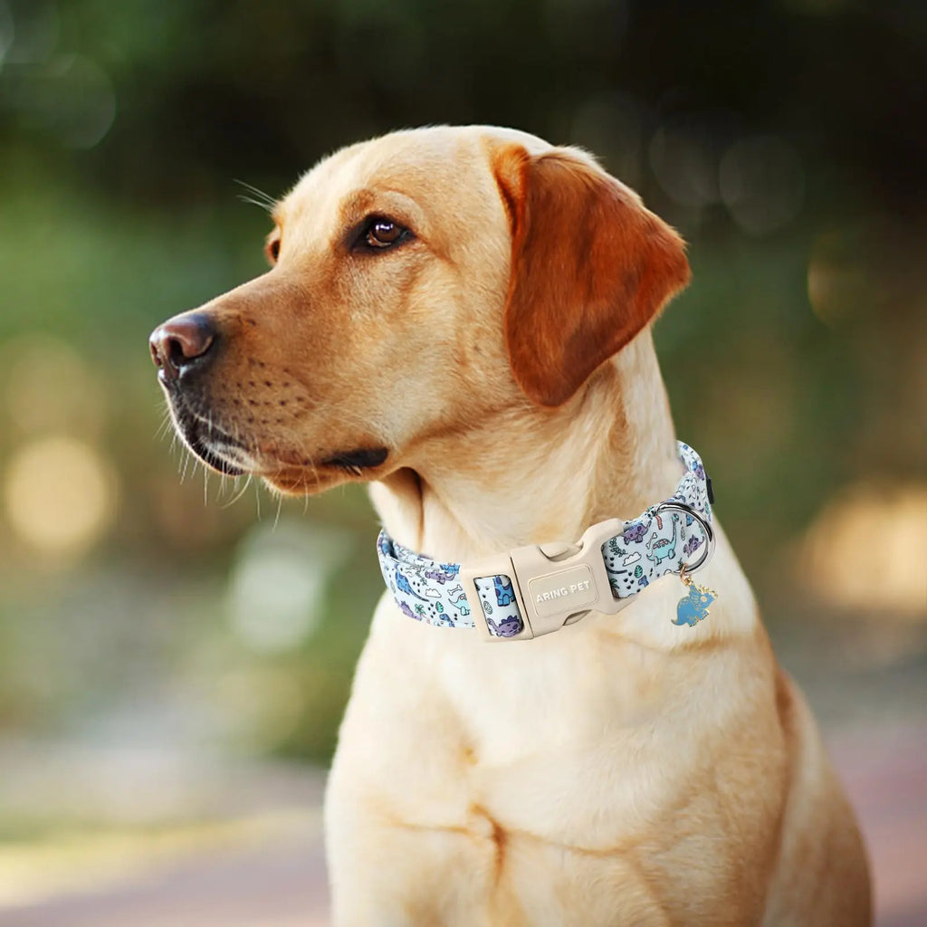 Adjustable Dinosaur Print Dog Collar for Spring - ARING PET Cute Blue Puppy Collar with Quick Release Buckle