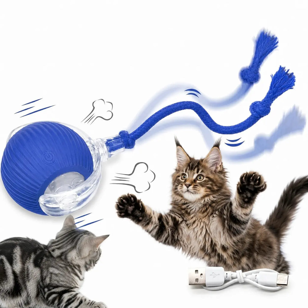 Motion-Activated Interactive Cat Balls for Indoor Play - Engaging Agility Toys for Solo and Hunting Enrichment