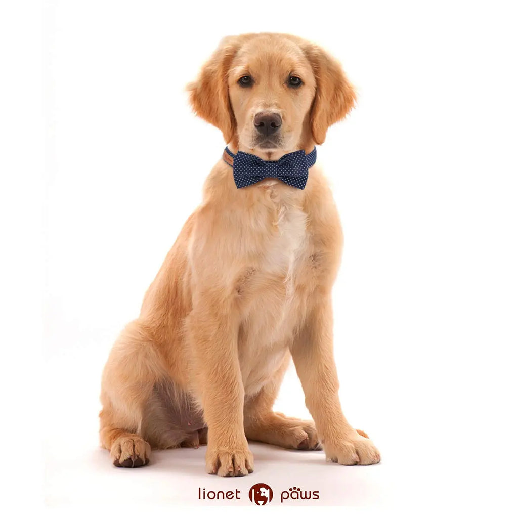 LIONET PAWS Polka Dot Dog Collar with Bowtie - Durable, Adjustable, and Comfortable for Small to Large Dogs and Cats (Summer Vibes)