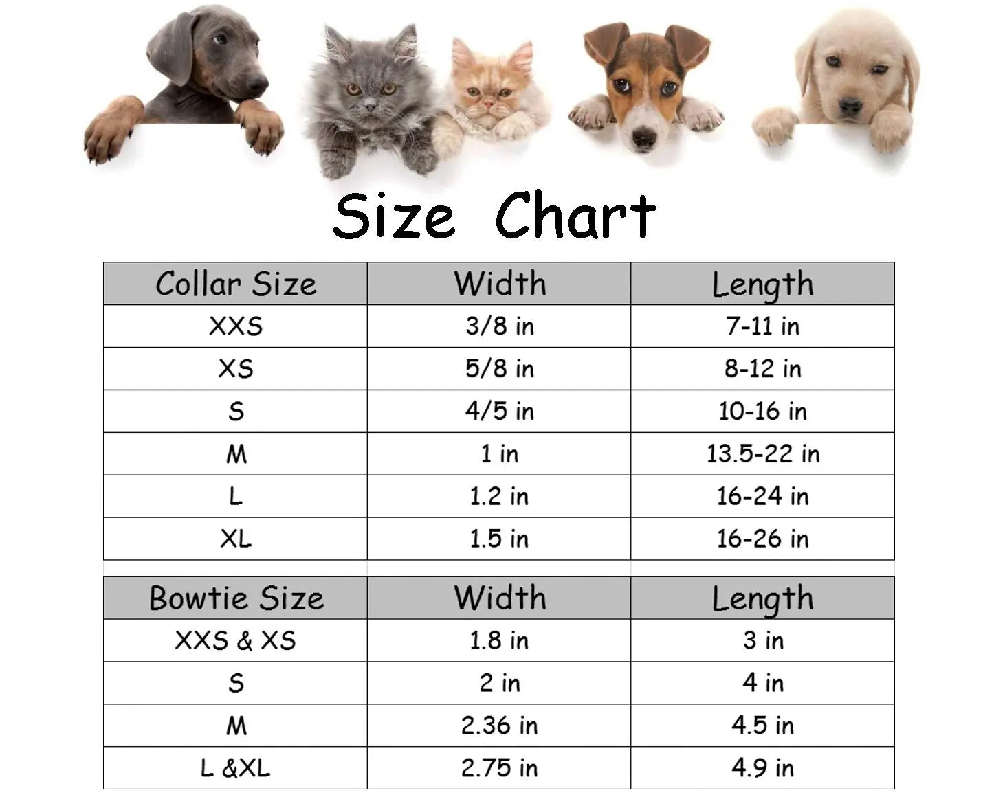 LIONET PAWS Polka Dot Dog Collar with Bowtie - Durable, Adjustable, and Comfortable for Small to Large Dogs and Cats (Summer Vibes)