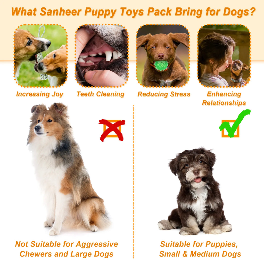 24-Pack Puppy Chew Toy Set with Storage Bin - Interactive Teething, Rope, and Squeaky Toys for Small and Medium Breeds