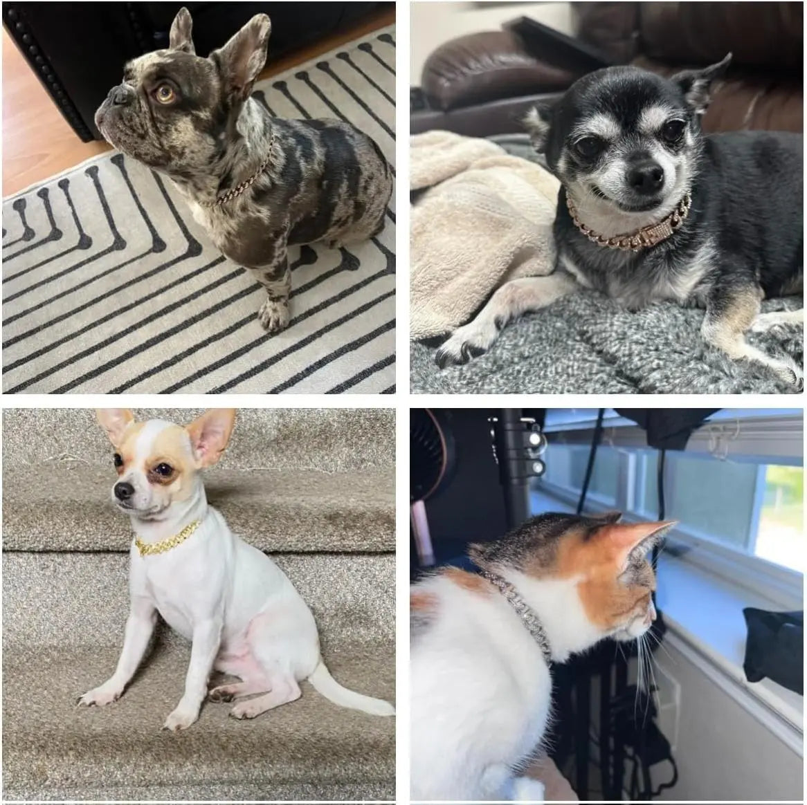Gold Dog Chain Collars with Rhinestones - Sparkling Diamond Metal Cuban Link Collars for Small, Medium, and Large Dogs and Cats