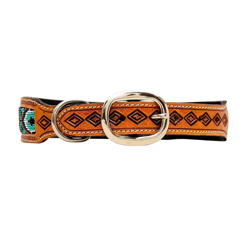 Teal Whitzer Hand-Tooled Padded Leather Dog Collar - Premium Dog Accessory