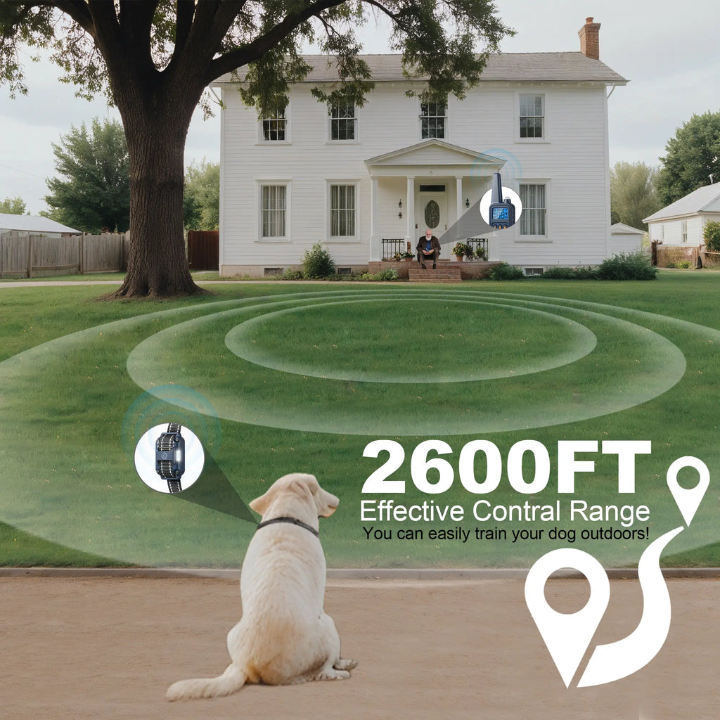 Professional Dog Training Collar and Pet Training Supplies for Dogs and Cats