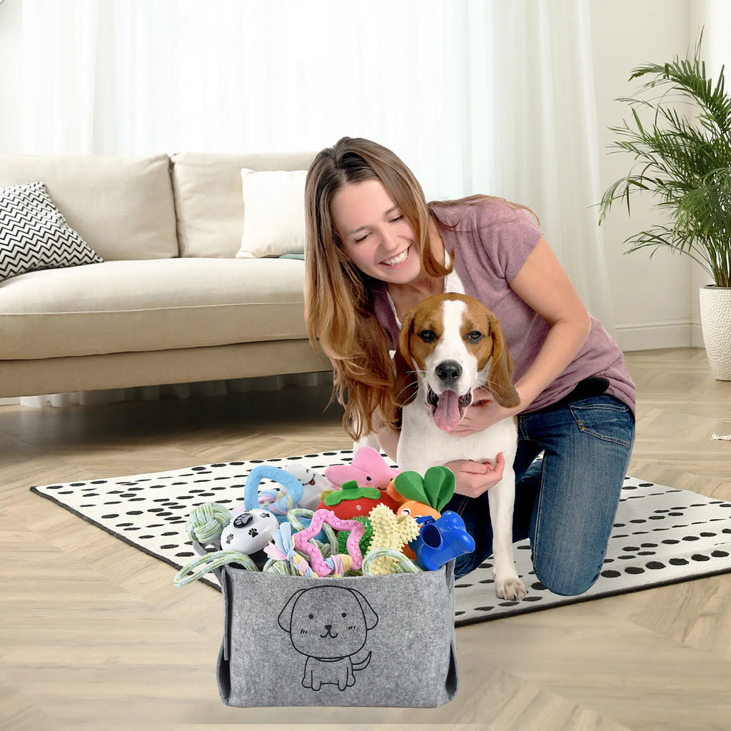 24-Pack Puppy Chew Toy Set with Storage Bin - Interactive Teething, Rope, and Squeaky Toys for Small and Medium Breeds