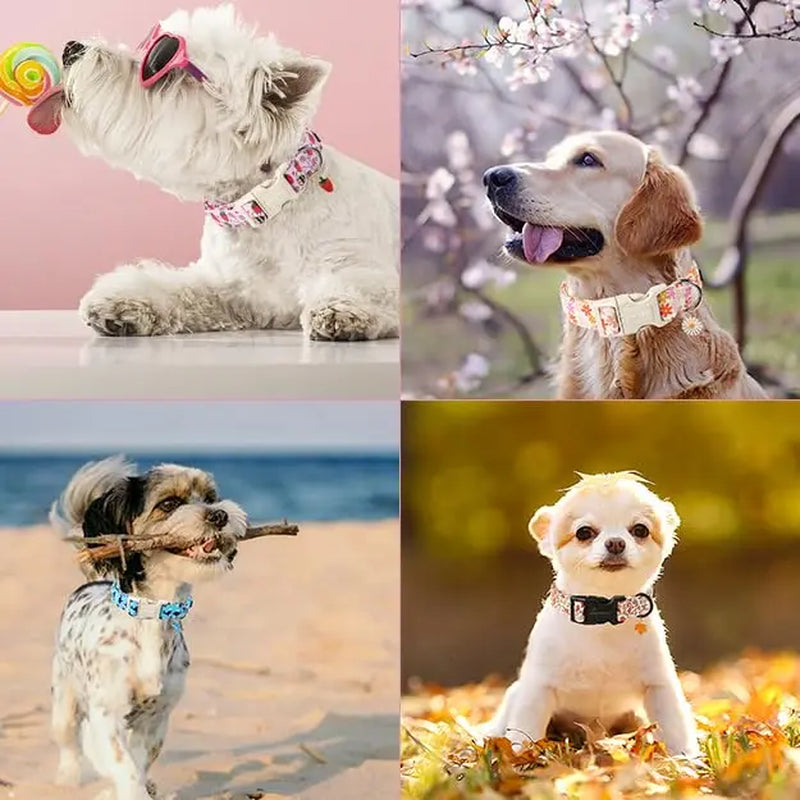 Adjustable Dinosaur Print Dog Collar for Spring - ARING PET Cute Blue Puppy Collar with Quick Release Buckle