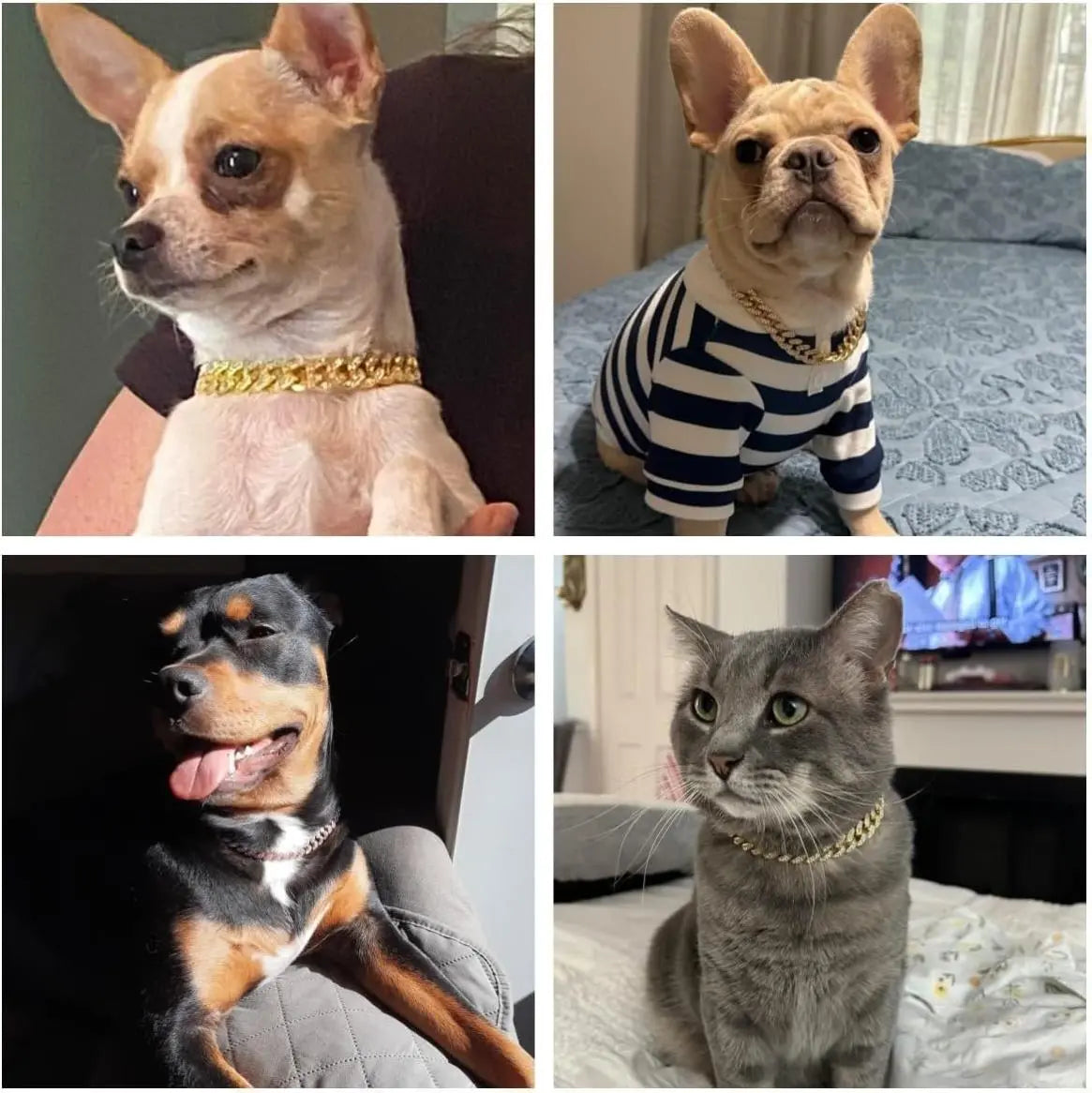 Gold Dog Chain Collars with Rhinestones - Sparkling Diamond Metal Cuban Link Collars for Small, Medium, and Large Dogs and Cats