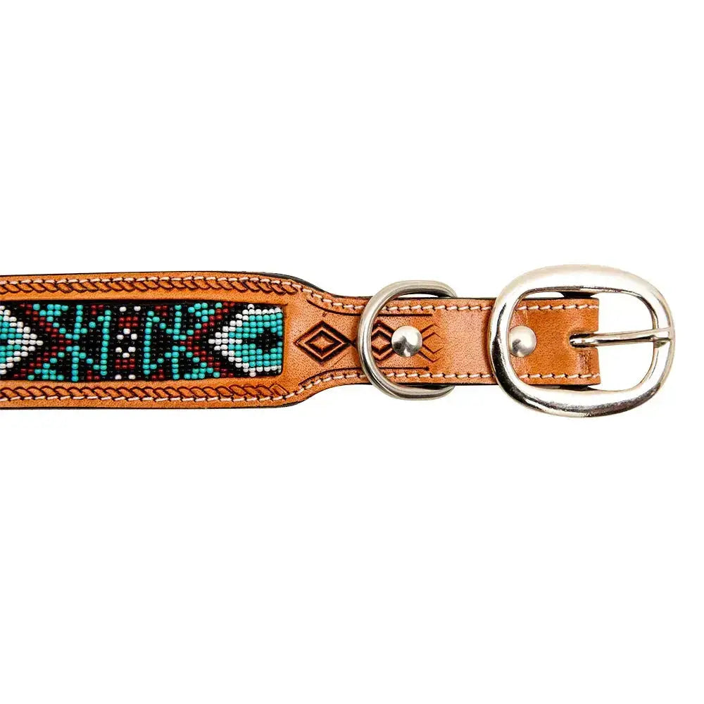 Teal Whitzer Hand-Tooled Padded Leather Dog Collar - Premium Dog Accessory
