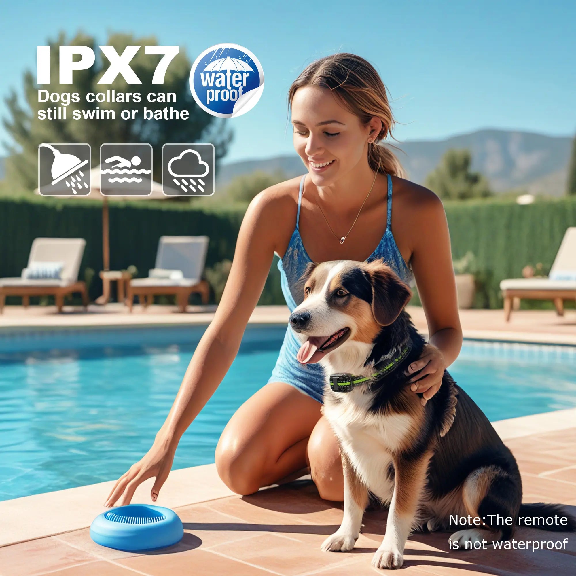 Professional Dog Training Collar and Pet Training Supplies for Dogs and Cats