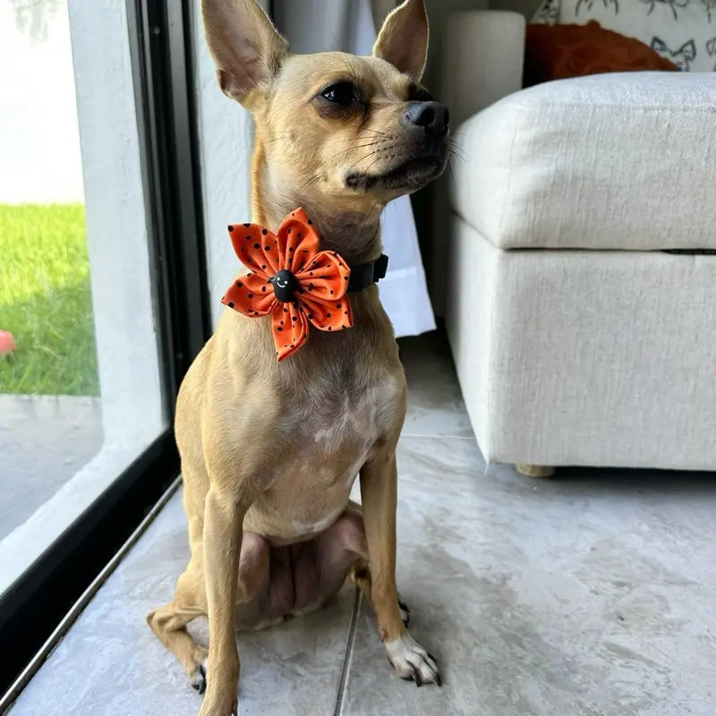 Halloween Floral Collars for Dogs and Cats - Available in 3 Inch and 4 Inch Sizes with Orange Polka Dot Design - Handcrafted Cotton Flowers for Festive Celebrations