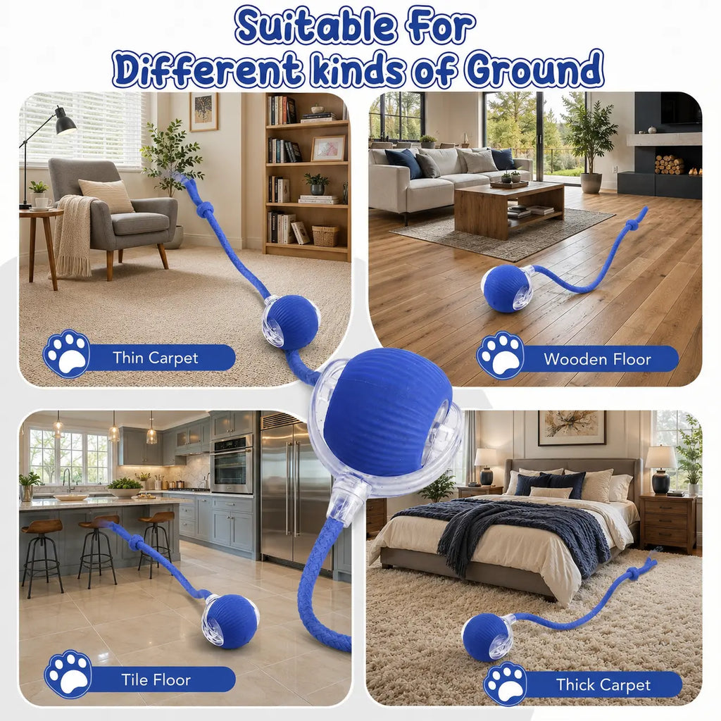 Motion-Activated Interactive Cat Balls for Indoor Play - Engaging Agility Toys for Solo and Hunting Enrichment
