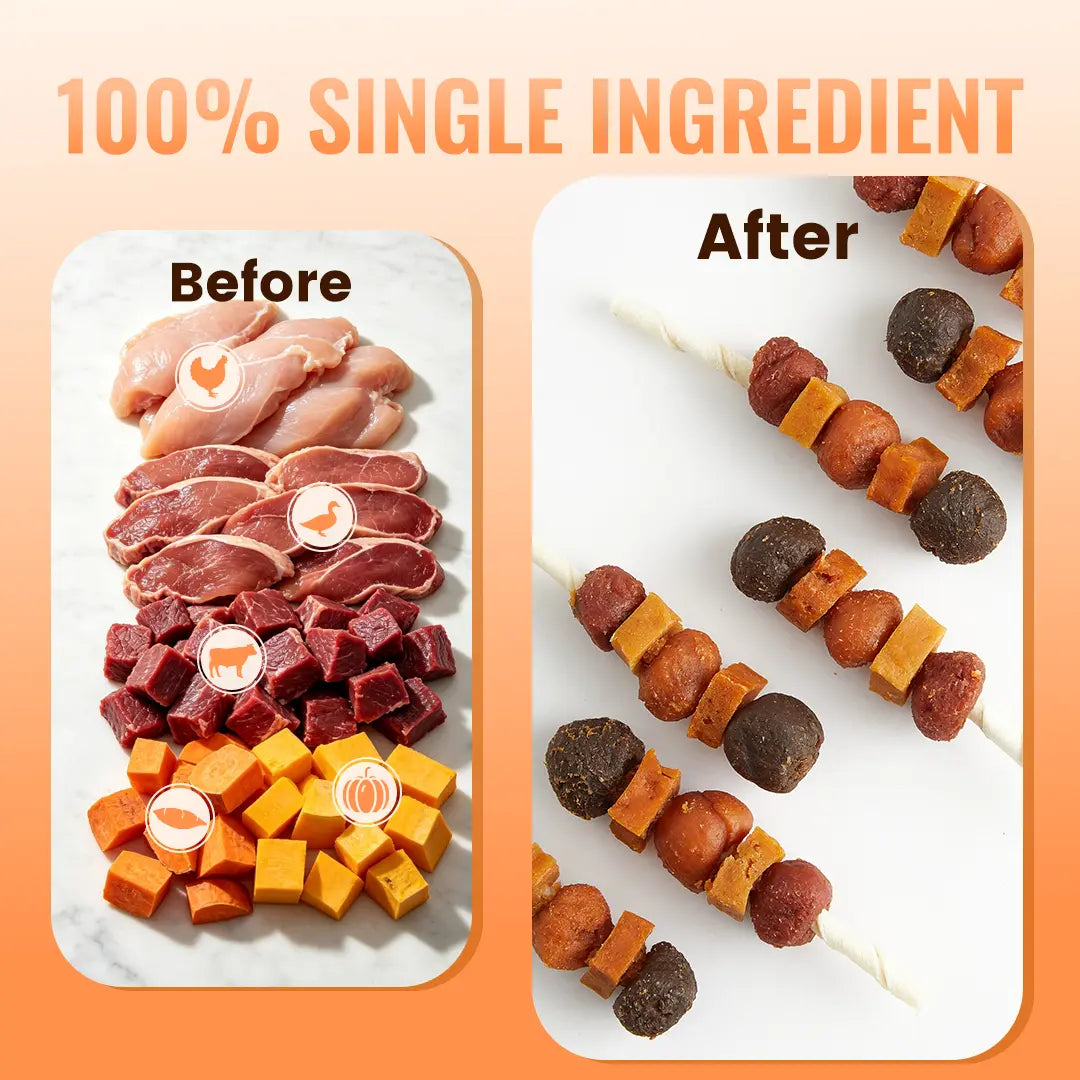 Indulge Your Dog with Buy 1 Get 1 Free Jungle Calling Kabob Treats - Delicious Chicken, Duck, Beef, Sweet Potato & Pumpkin Chews!