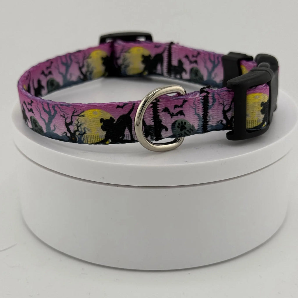 Halloween-Themed Dog Collar, Eerie Pet Accessory
