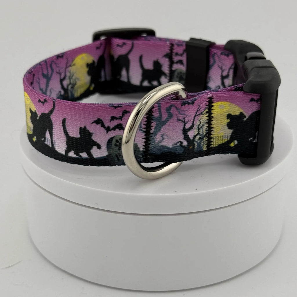 Halloween-Themed Dog Collar, Eerie Pet Accessory