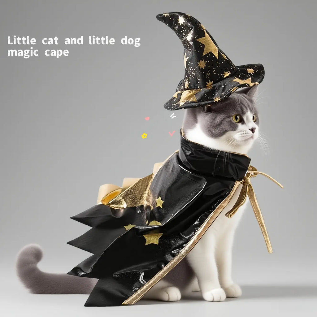 Elegant Halloween Witch Costume for Cats - Black and Gold Polyester Outfit with Magic Hat, Star Pattern Cape, and Matching Collar for Small to Extra Small Breeds