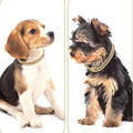 Gold Dog Chain Collars with Rhinestones - Sparkling Diamond Metal Cuban Link Collars for Small, Medium, and Large Dogs and Cats
