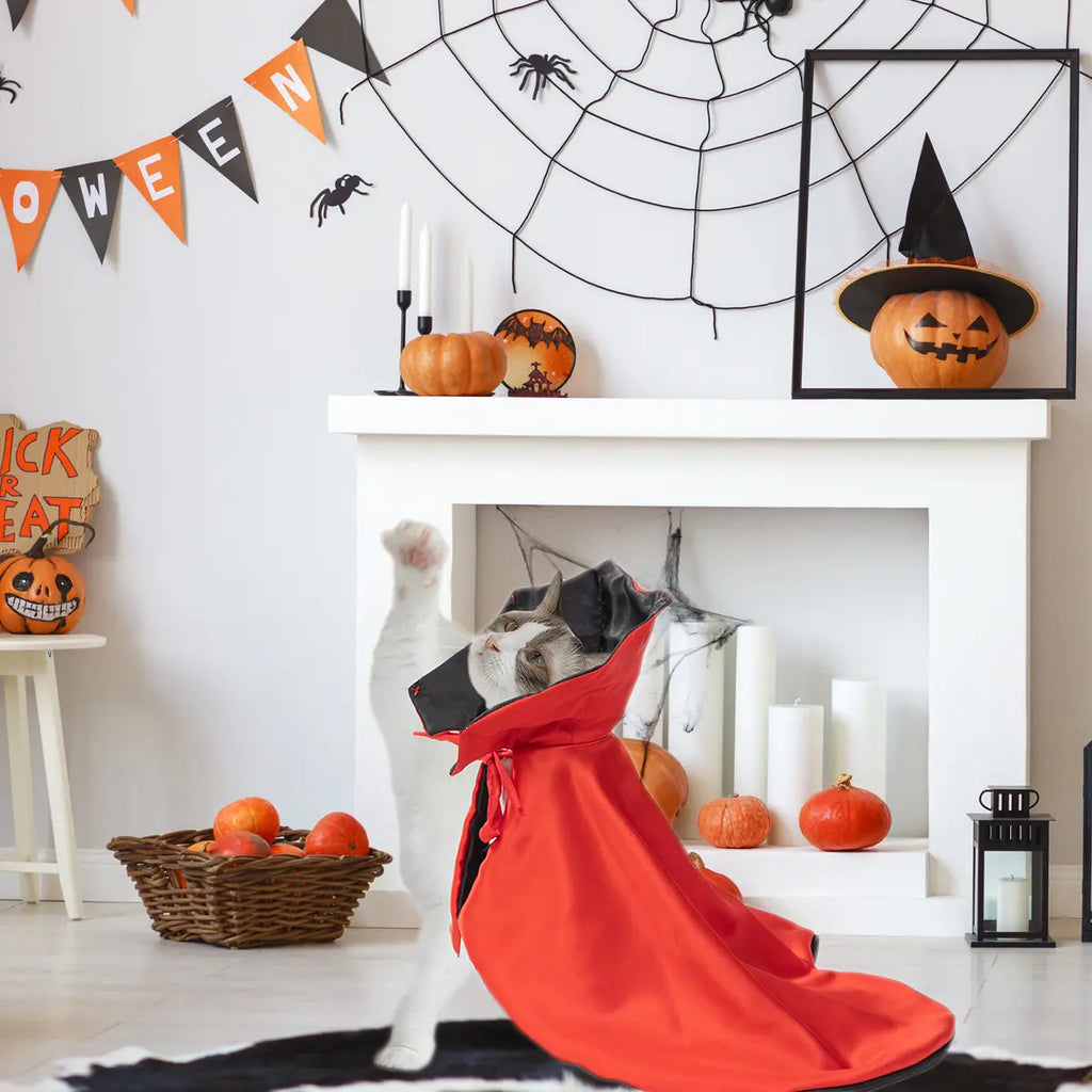 Halloween Pet Costume Cape for Cats and Dogs - Wizard Magic Cosplay, Cute and Breathable Design